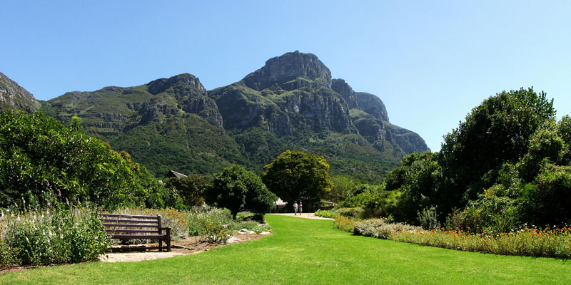 Cape Town Tours